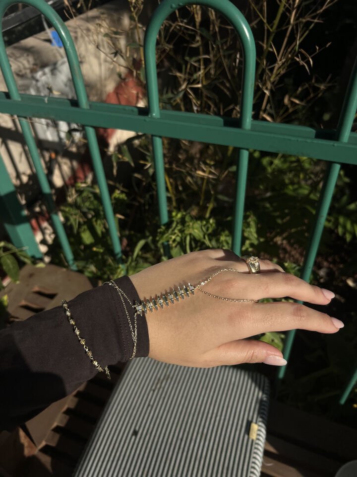 Çelik Balık Sırtı Şahmeran